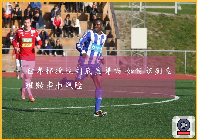 世界杯投注到底靠谱吗 如何识别合理赔率和风险