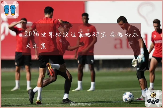 2026世界杯投注策略研究 各路心水大汇集