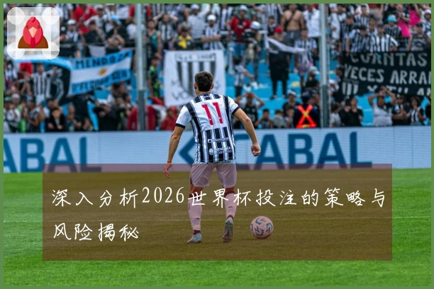 深入分析2026世界杯投注的策略与风险揭秘