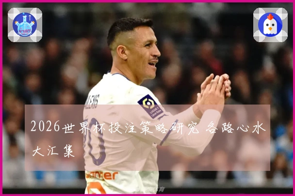2026世界杯投注策略研究 各路心水大汇集