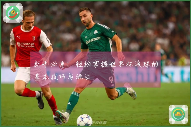 新手必看：轻松掌握世界杯滚球的基本技巧与玩法