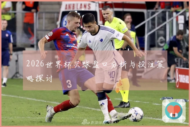 2026世界杯买球盘口分析与投注策略探讨