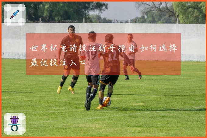 世界杯竞猜投注新手指南 如何选择最优投注入口